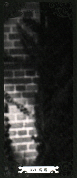310_16