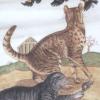 神秘猫塔罗牌 Mystical Cats Tarot