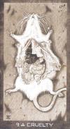 新时代元素塔罗牌 New Era Elements Tarot