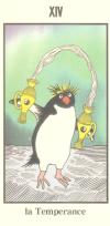 企鹅塔罗牌 PENGUIN TAROT