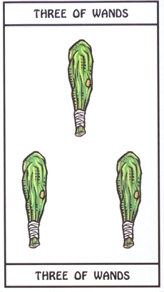 481_24
