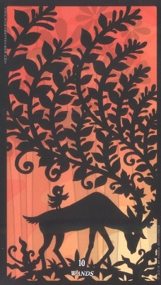 513_31