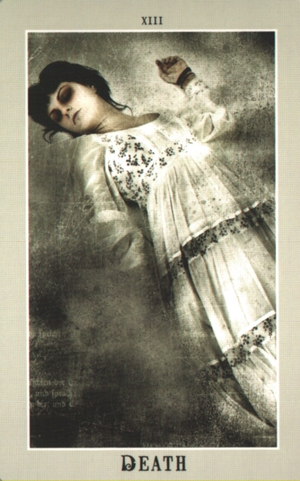 308_13