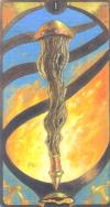 1061_50