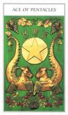 50_64