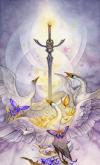 花影塔罗牌 Shadowscapes Tarot
