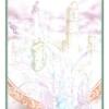 塔罗世界 TAROT WORLD