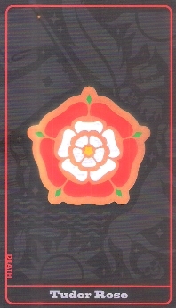 1076_81