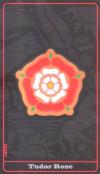 符码指南塔罗牌 Tarot Assembled