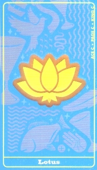 1076_62