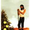 波兰伟特塔罗牌 Tarot-Robert Lichodziejewski
