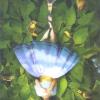 神秘时刻塔罗牌 Tarot of Mystical Moments