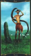 凯尔特精灵塔罗牌 Tarot of the Celtic Fairies
