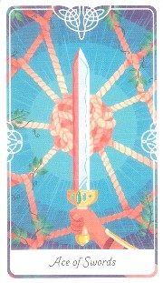 895_50