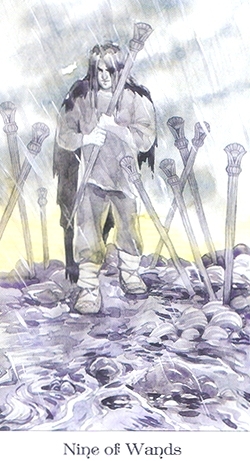 816_44