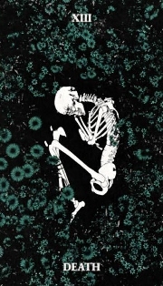 1038_13
