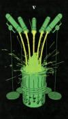 神圣光谱塔罗牌 Tarot of the Holy Spectrum