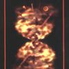 黑夜塔罗牌 Tarot of the Night