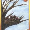 薩泰里阿教塔罗牌 Tarot of the Orishas