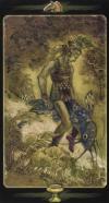秘密森林塔罗牌 Tarot of the Secret Forest
