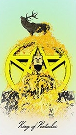 1118_49