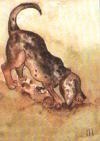 401_66