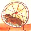 动物塔罗牌 The BlueDogRose Tarot(A Multi Animal Tarot)