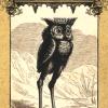恶魔塔罗牌 The Daemon Tarot