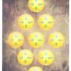 视界塔罗牌 The Field Tarot