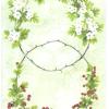 草药师塔罗牌 The Herbcrafter’s Tarot