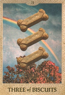 362_26