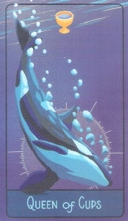 1048_48