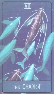 1048_07