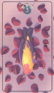 1048_52