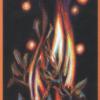 乌鸦预言塔罗牌 The Raven's Prophecy Tarot