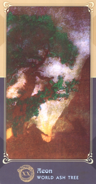 595_20