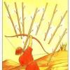 景深塔罗牌 The Sharman-Caselli Tarot