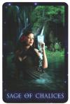 天狼星种子塔罗牌 The Sirian Starseed Tarot