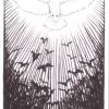 野性未知塔罗牌 The Wild Unknown Tarot