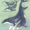 女巫智慧塔罗牌 The Witches Wisdom Tarot