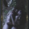 永恒之夜吸血鬼塔罗牌 Vampire Tarot of the Eternal Night