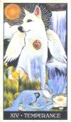 聪明狗塔罗牌 Wise Dog Tarot