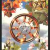 女巫塔罗牌 Witches Tarot