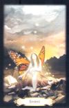 金色塔罗牌 Złoty tarot