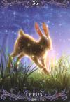 星座神谕卡 プトレマイオス式 星座オラクルカード