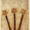 Wands03