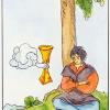 Cups04