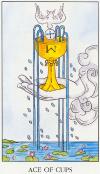 Cups01