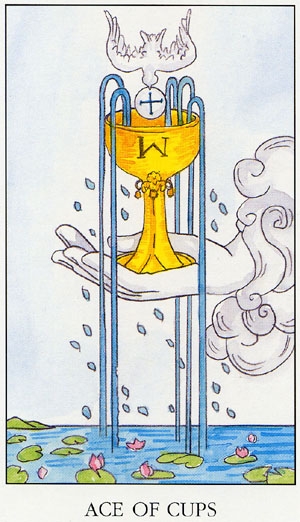 Cups01
