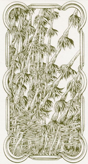 Back